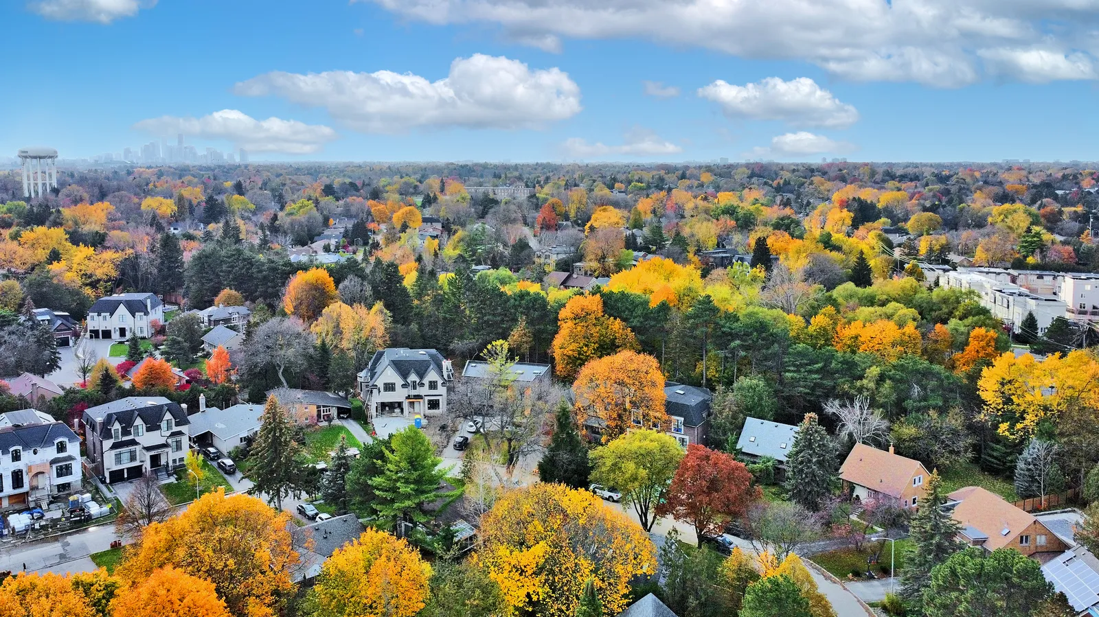 Project photo